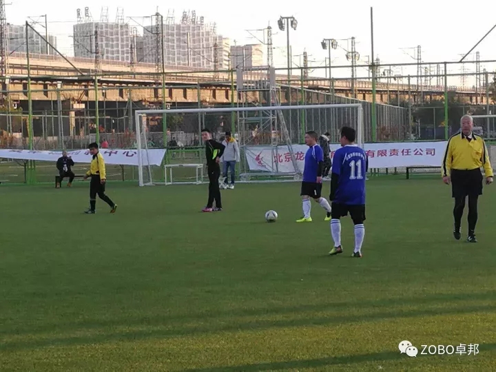 ZOBO免费看片TV下载