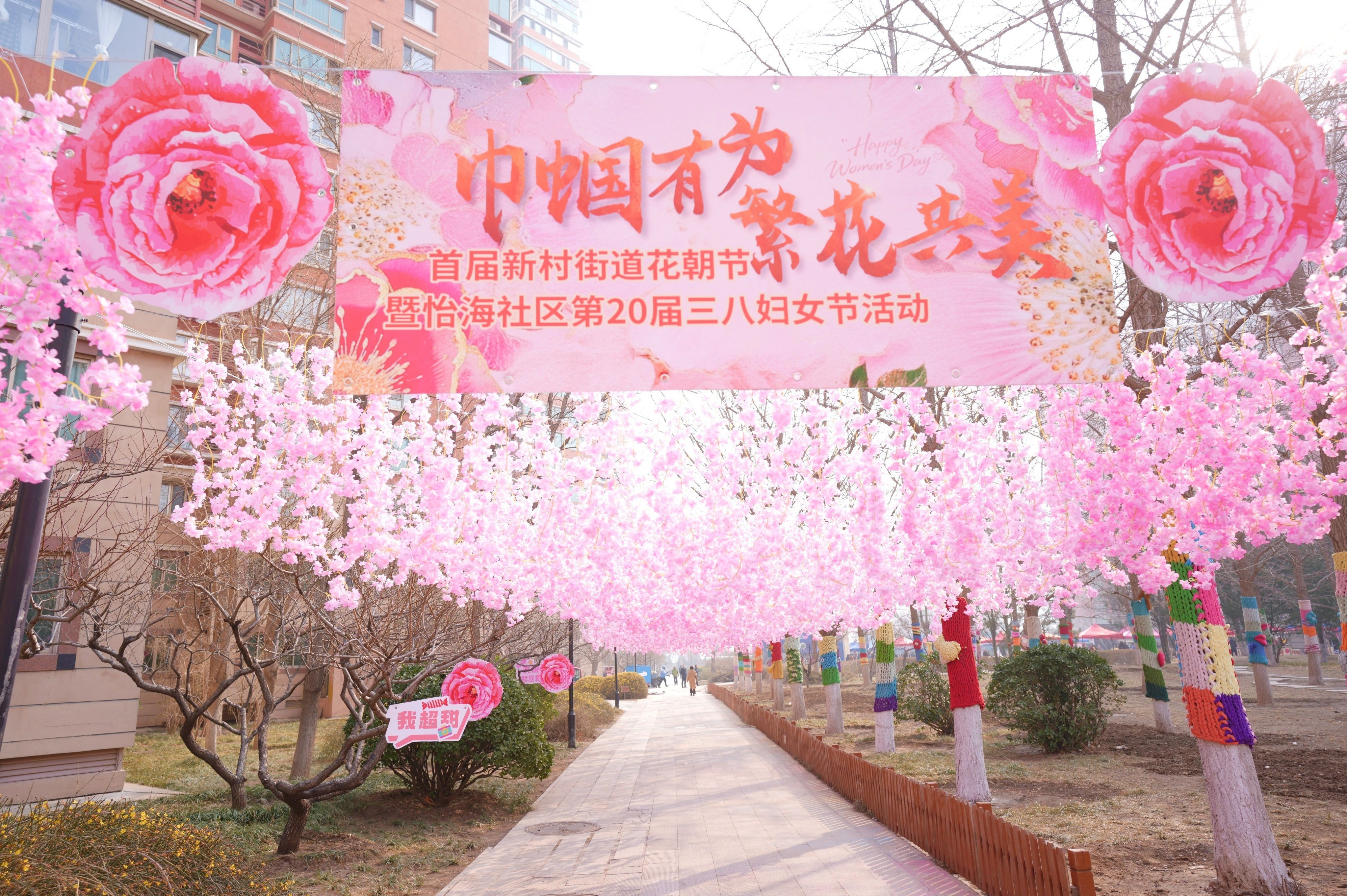 声绽芳华，音伴花朝｜ZOBO 免费看片TV下载蒙特宝海神 10 助力怡海社区第二十届妇女节盛典